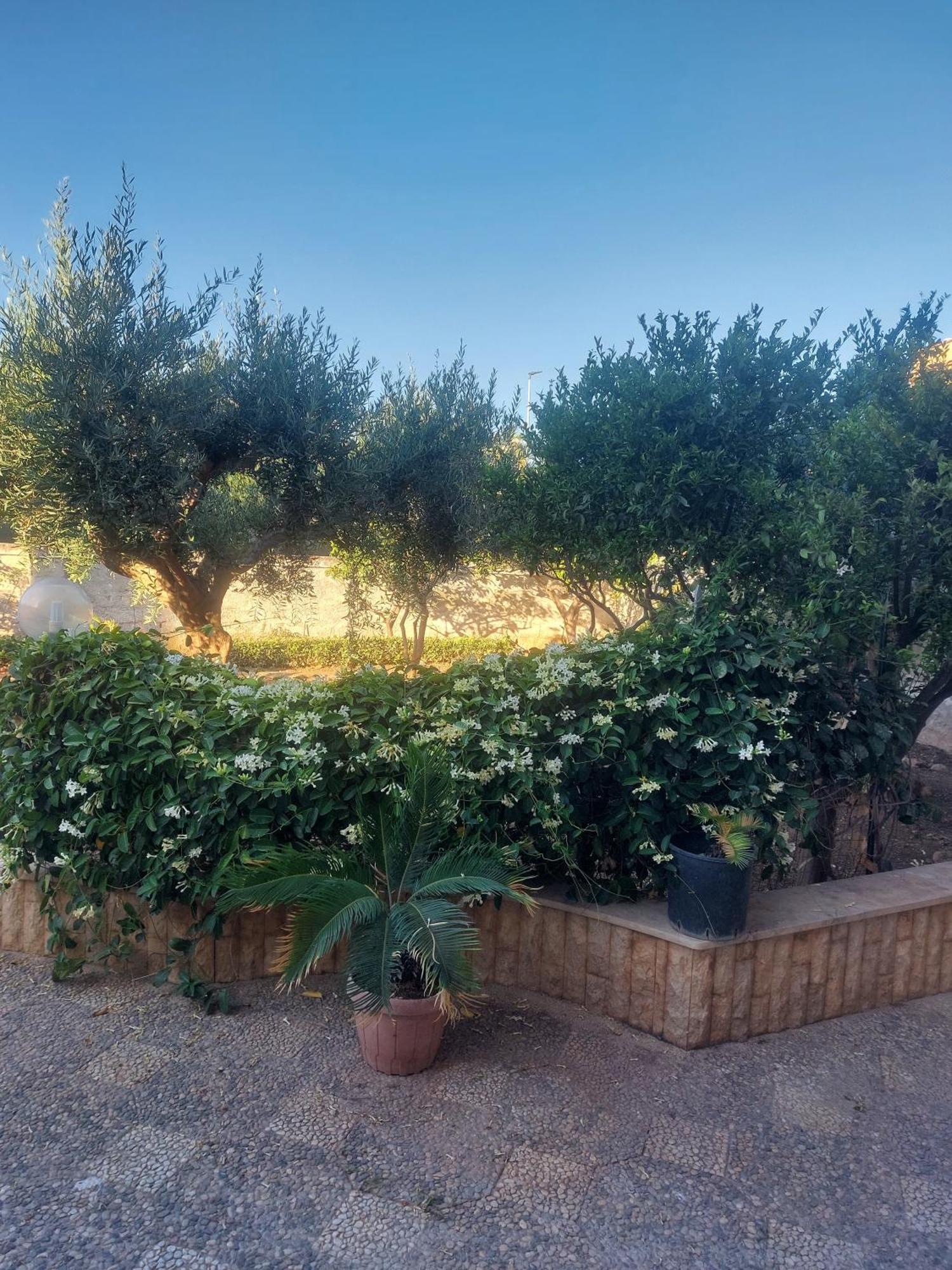 Alcantara Suites Trapani Kültér fotó